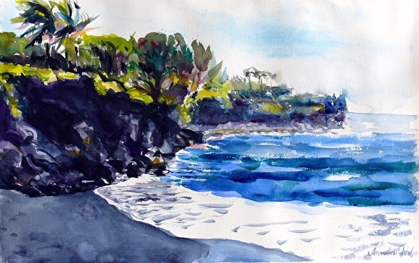 Anneliese Drbal Work Zoom Black Sand Beach In Maui